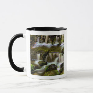 Caneca Fonte de Samambaia, Parque Nacional de Yosemite, C
