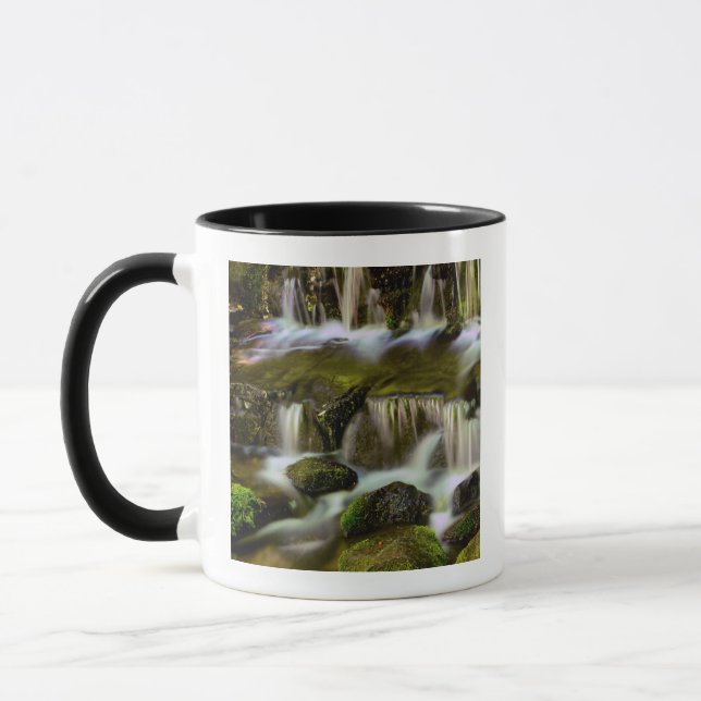 Caneca Fonte de Samambaia, Parque Nacional de Yosemite, C (Esquerda)