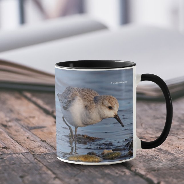 Caneca Forragens de Sandpiper em Cuta (Cute Sanderling Forages on Shore 11 oz Coffee Mug Cover Photo.)