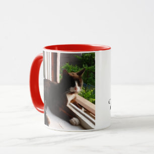 Caneca Foto de gato do Dia Meow