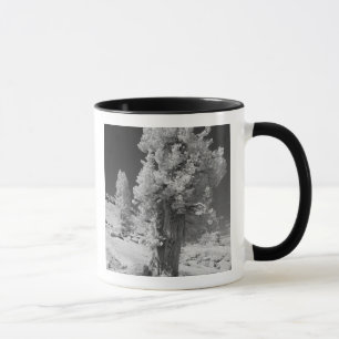 Caneca Foto infravermelha no lado leste do Parque Naciona