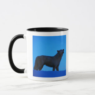 Caneca Foto, lobo branco que urra na noite, cor,