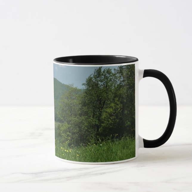 Caneca Fotografia de Verão de Laurel Highlands Pensilvâni (Direita)
