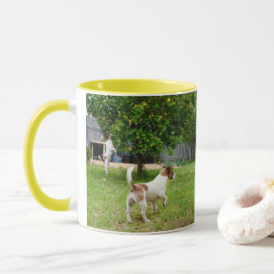 Caneca Fox Terriers Playtime, Combo Café Amarelo