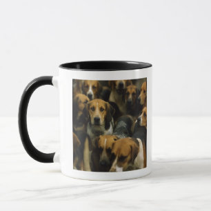 Caneca Foxhounds da caça, blazeres de Galway, Ireland