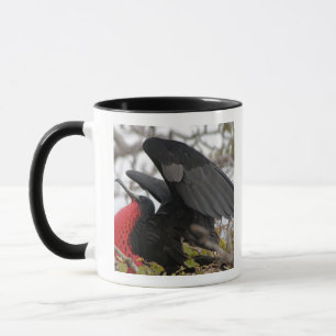 Caneca Fragata Magnífica