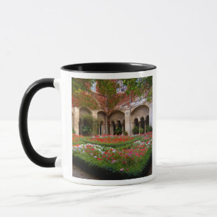 Caneca França, St. Remy de Provence, claustros às 2