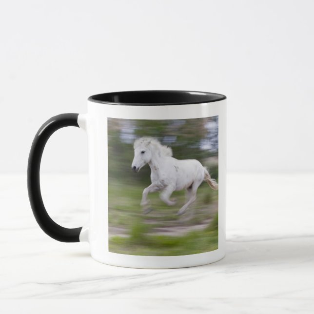 Caneca France, Bouches du Rhone, parque regional natural (Esquerda)