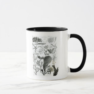 Caneca Fuco de Conferra