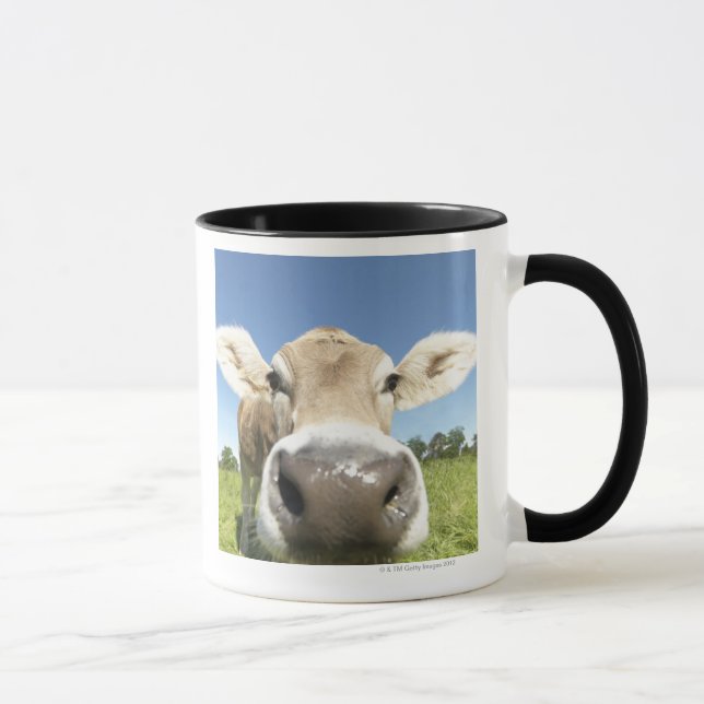 Caneca Fuessen, Baviera, Alemanha (Direita)