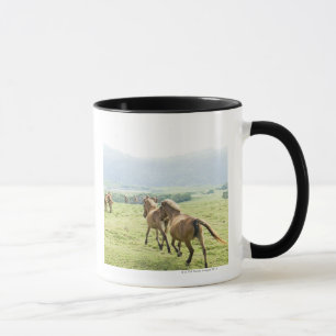 Caneca Funcionamento dos cavalos