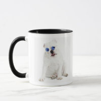 fundo branco, buldogue branco, azul matizado