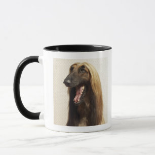 Caneca Galgo afegão que senta-se na sala