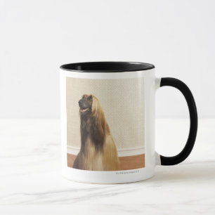Caneca Galgo afegão que senta-se na sala 2