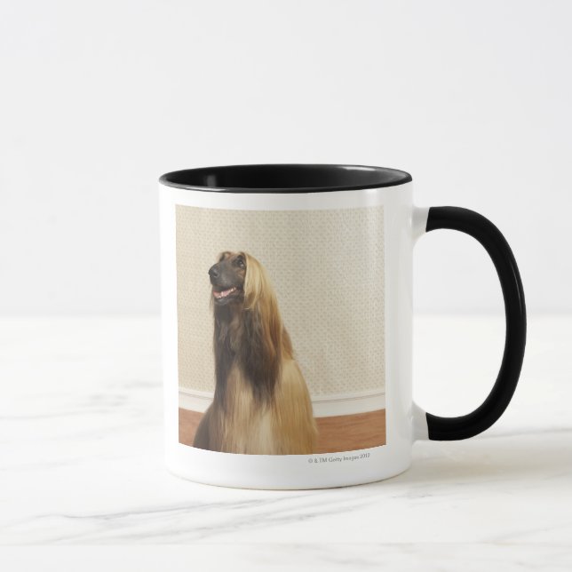 Caneca Galgo afegão que senta-se na sala 2 (Direita)