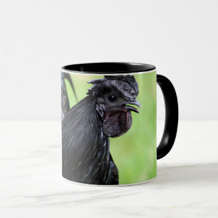Caneca Galo preto de Ayam Cemani