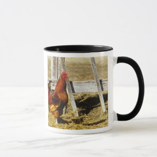Caneca Galo Vermelho de Rhode Island