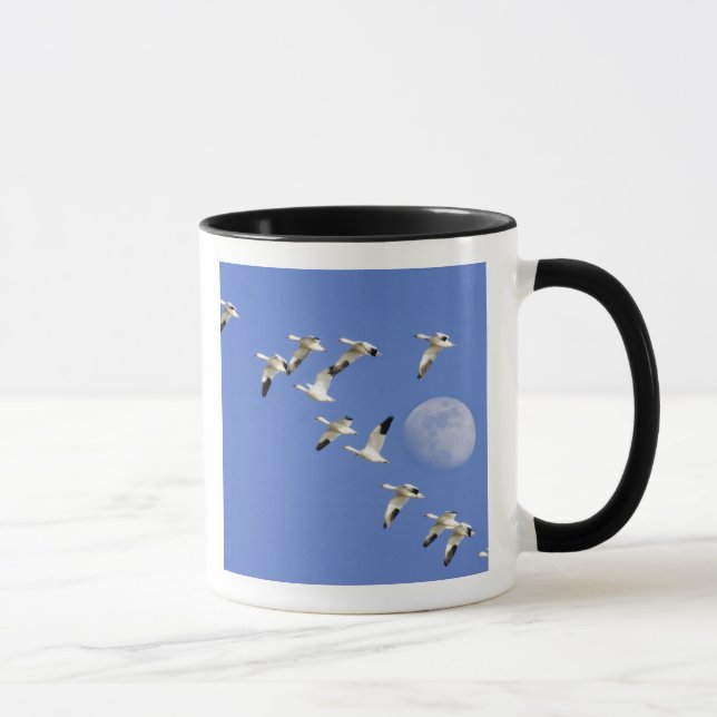 Caneca Gansos de neve tomam voo no Lago Freezeout NWR (Direita)