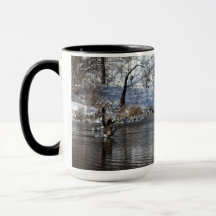 Gansos Levantando Água Em Voo