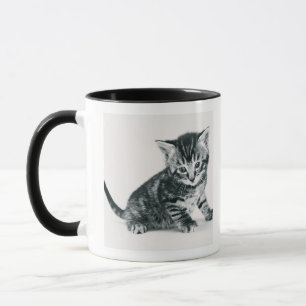 Caneca Gatinho do gato malhado
