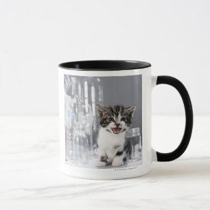 Caneca Gatinho entre garrafas e frascos do reciclado