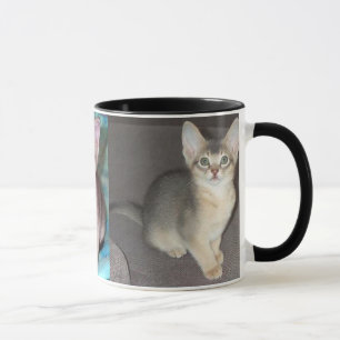Caneca Gatinho masculino azul Abyssinian