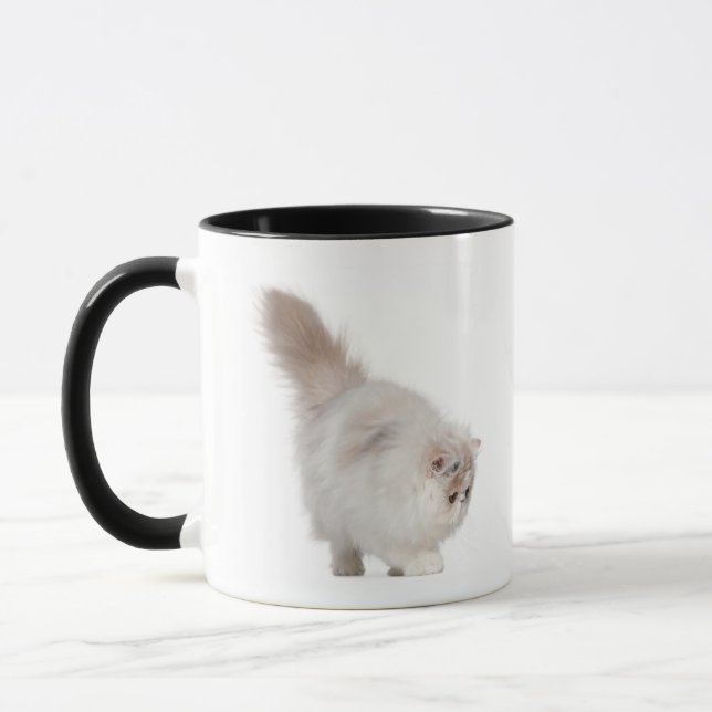 Caneca Gatinho persa (3 meses velho) (Esquerda)