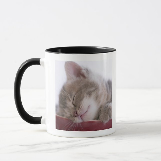 Caneca Gatinho que dorme na bacia 2 (Esquerda)