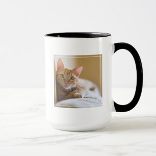 Caneca Gatinho que encontra-se no sofá