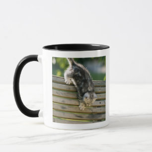 Caneca Gatinho que move-se para baixo no banco