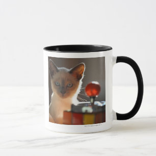 Caneca Gatinho Siamese
