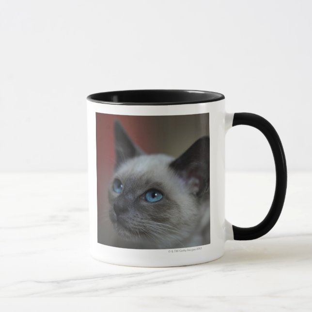 Caneca Gatinho Siamese (Direita)
