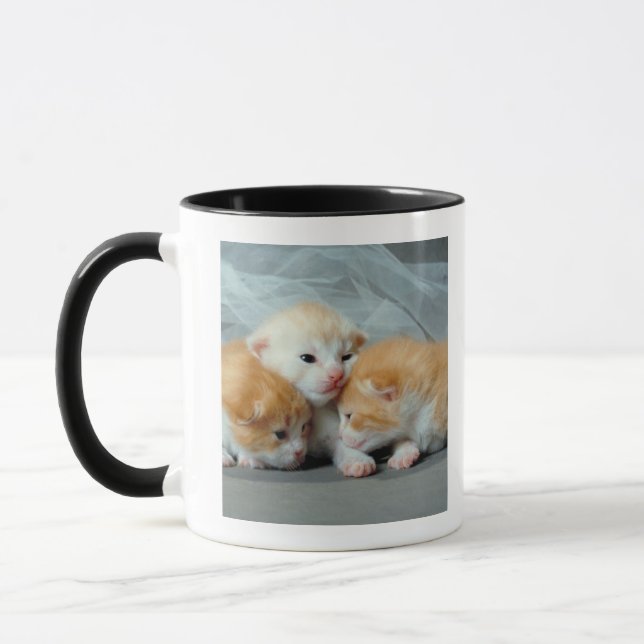 Caneca Gatinhos alaranjados da pele (Esquerda)