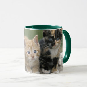 Caneca Gatinhos do Celeiro em uma Manta de Cavalo