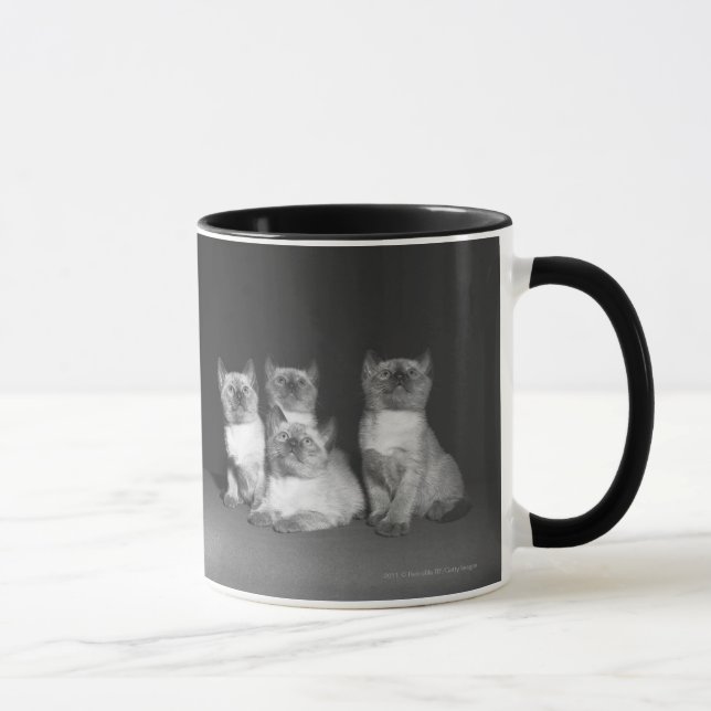 Caneca Gatinhos Siamese que olham acima B&W (Direita)