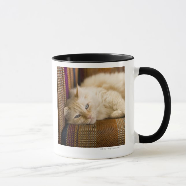 Caneca Gato amarelo bonito do tabi que coloca no sofá (Direita)