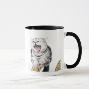 Caneca gato cinzento no fundo branco