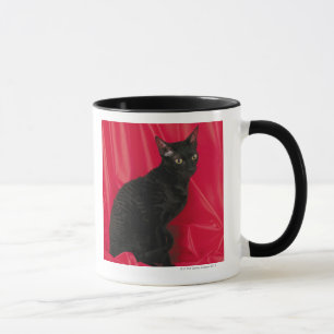Caneca Gato Cornish do rex