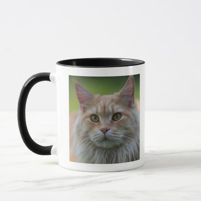 Caneca Gato de racum principal (Esquerda)