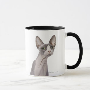 Caneca Gato de Sphynx com expressão surpreendida