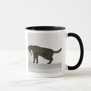 Caneca Gato e peixe dourado