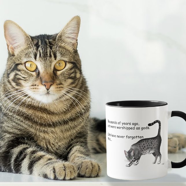 Caneca Gato Egípcio Mau Cinza Humorístico e Caprichoso (Criador carregado)