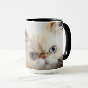 Caneca Gato em uma caixa
