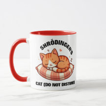 Gato engraçado de Shrodinger (não perturbe)