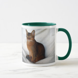 Caneca Gato fêmea corado Abyssinian