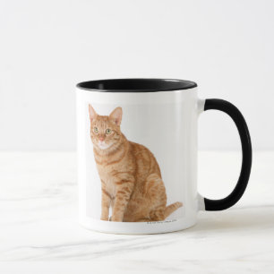 Caneca Gato japonês