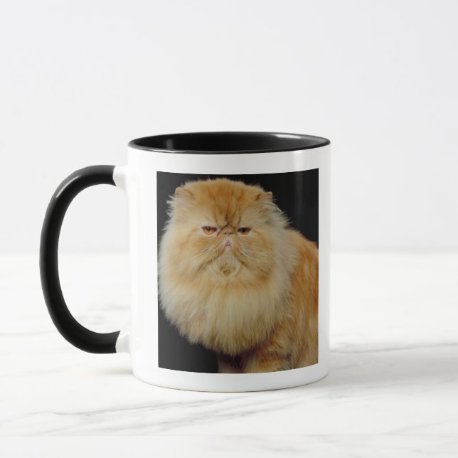 Caneca Gato longo do cabelo do russo (Esquerda)