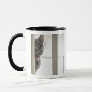 Caneca Gato pela janela