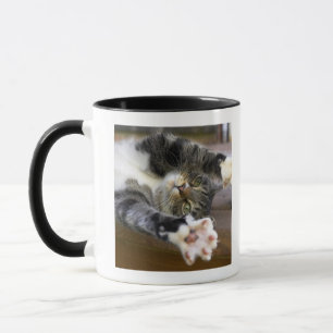 Caneca Gato que estica, dentro