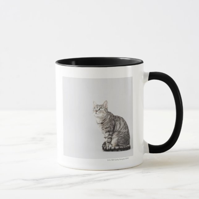 Caneca Gato que olha acima (Direita)